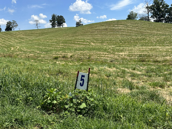 Listing Image 18