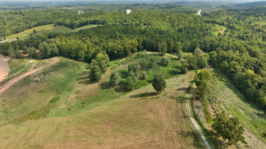 Listing Image 20