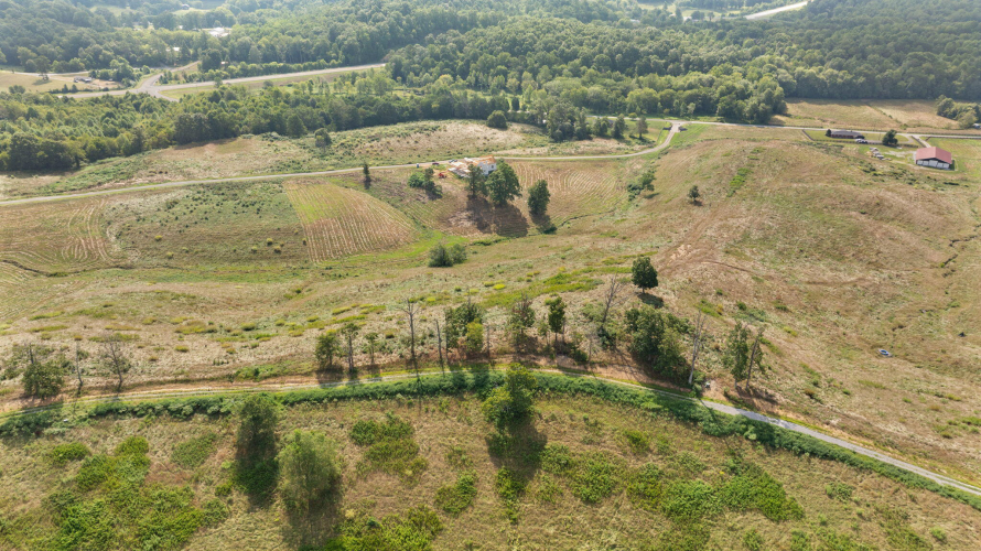 Listing Image 16