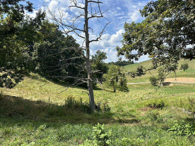 Listing Image 16
