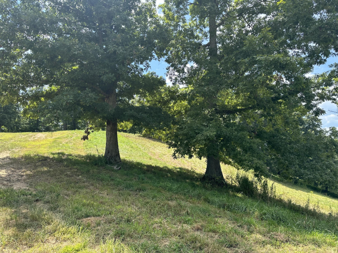 Listing Image 17
