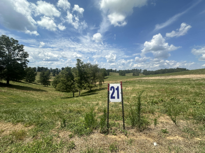 Listing Image 5