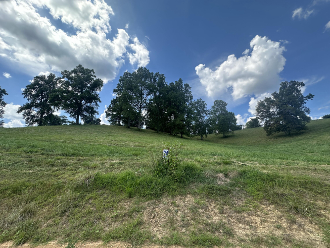 Listing Image 14