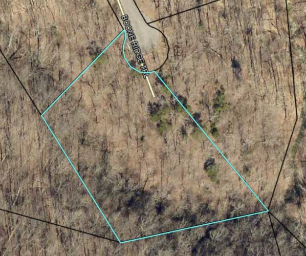 Listing Image 9