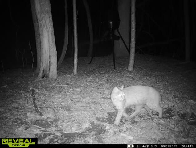 Listing Image 7