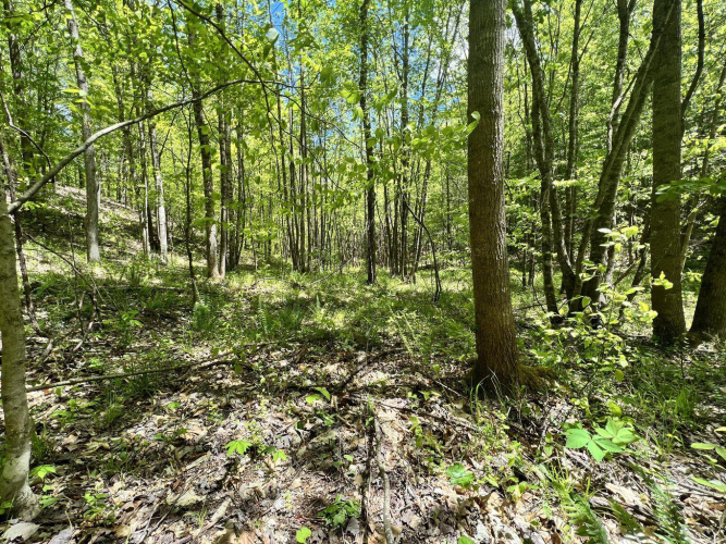 Listing Image 18