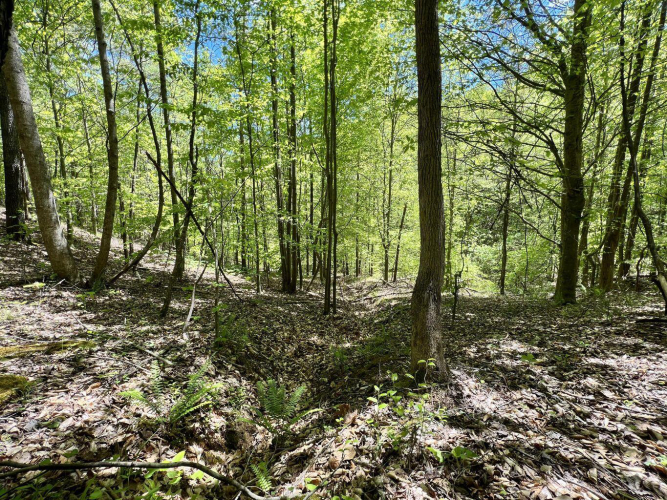 Listing Image 20