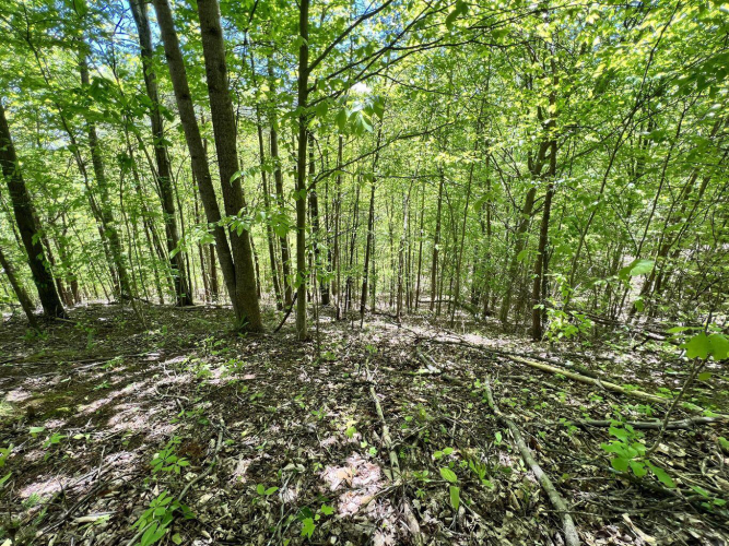 Listing Image 21