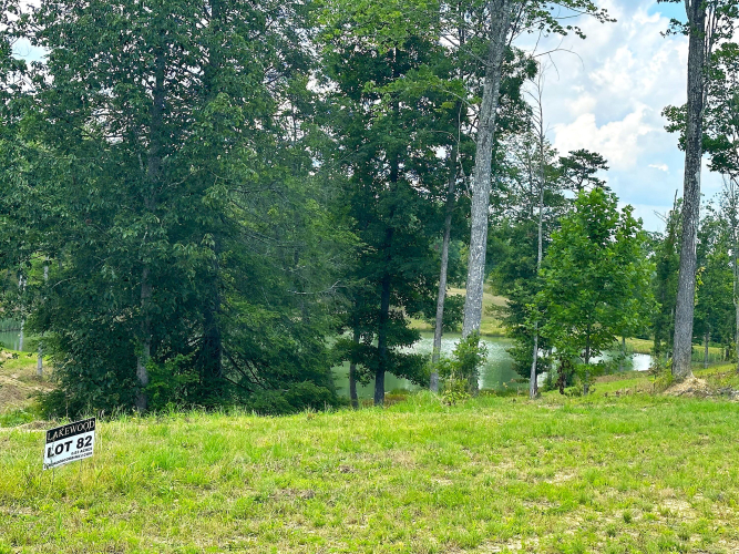 Listing Image 11