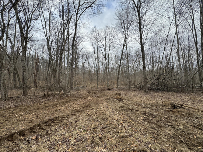 Listing Image 14