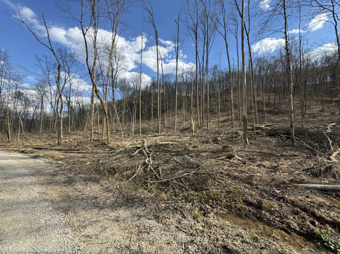 Listing Image 18