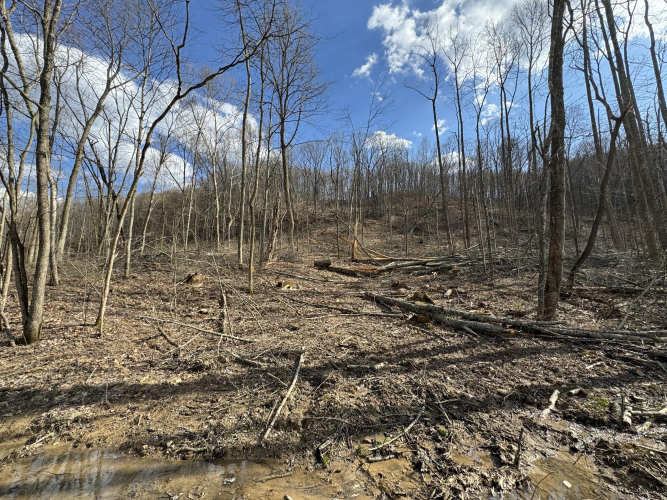 Listing Image 19