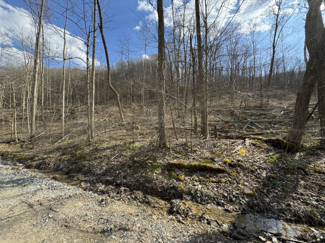 Listing Image 20