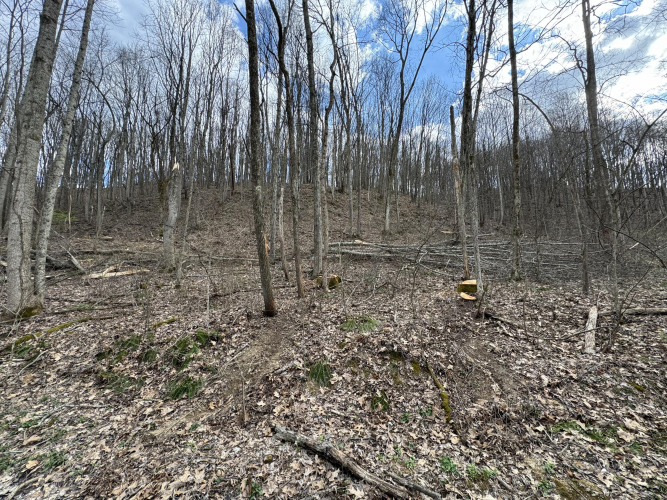 Listing Image 21