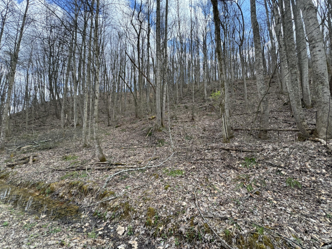 Listing Image 22