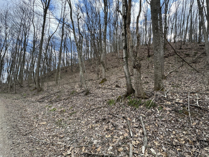 Listing Image 23