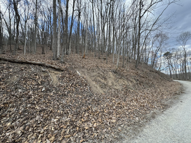 Listing Image 24