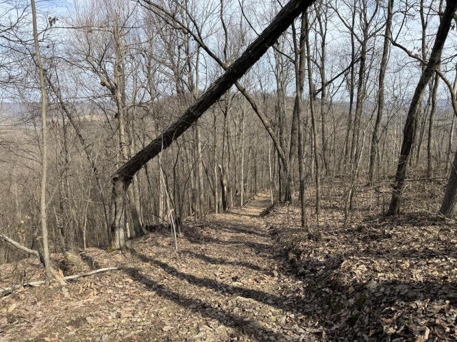 Listing Image 36