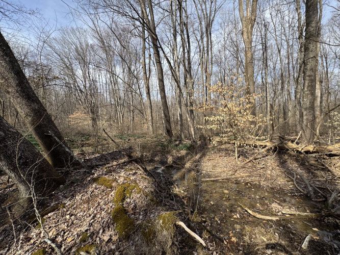 Listing Image 41