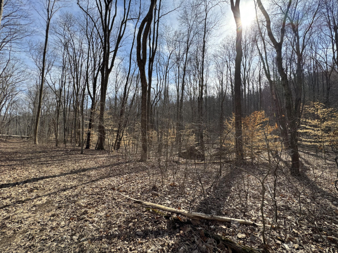 Listing Image 45