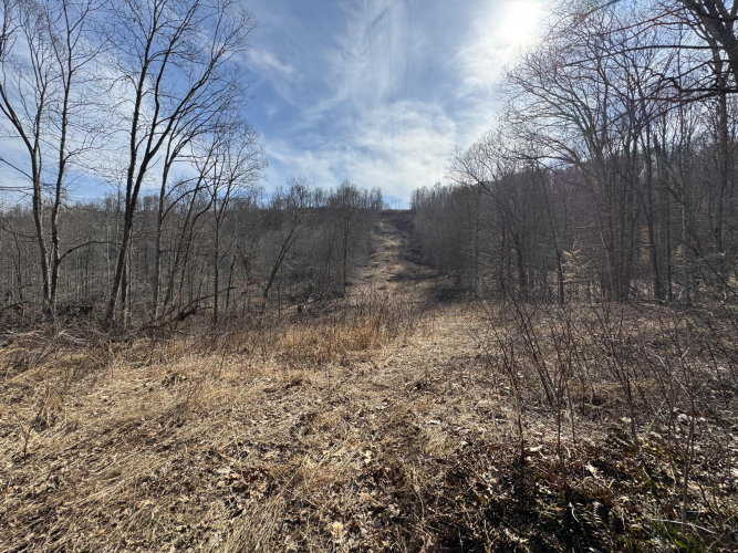 Listing Image 46