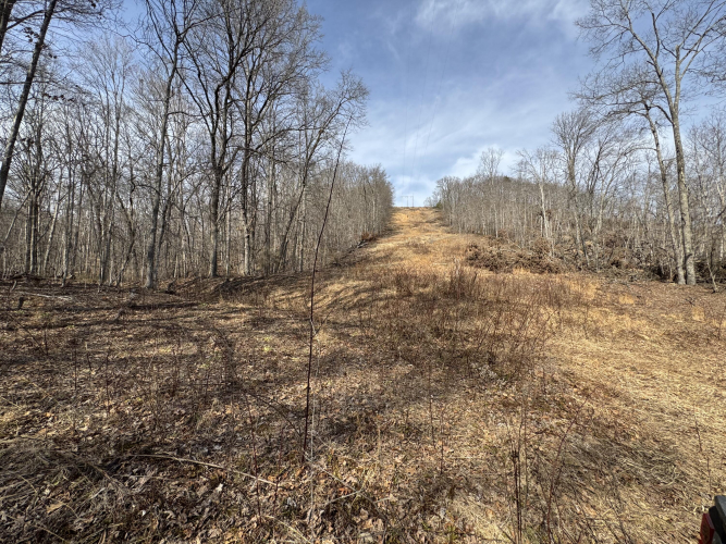 Listing Image 47