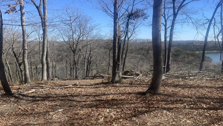 Listing Image 23