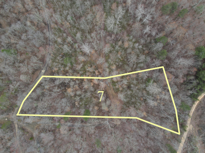 Listing Image 3