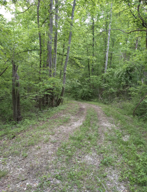 Listing Image 5