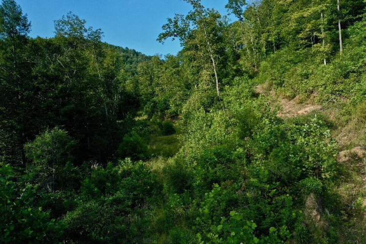 Listing Image 18