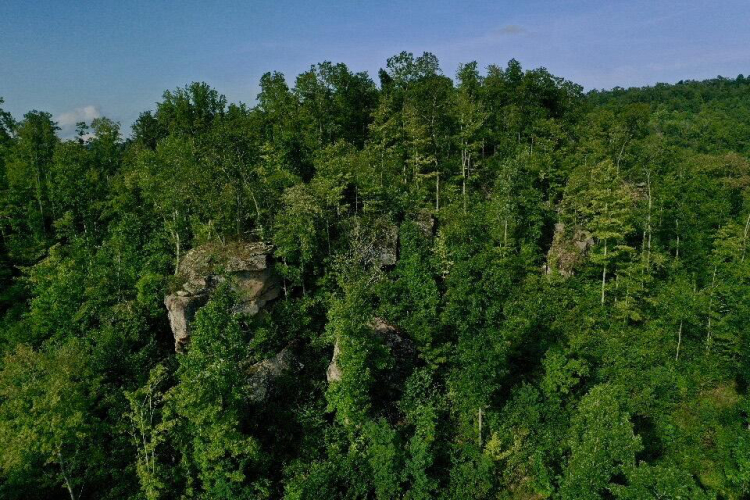 Listing Image 5