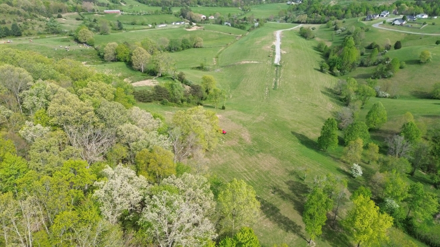Listing Image 10