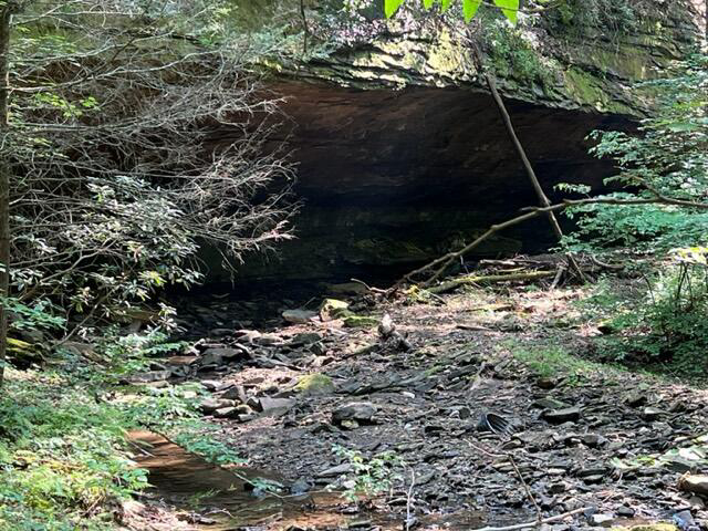 Listing Image 6