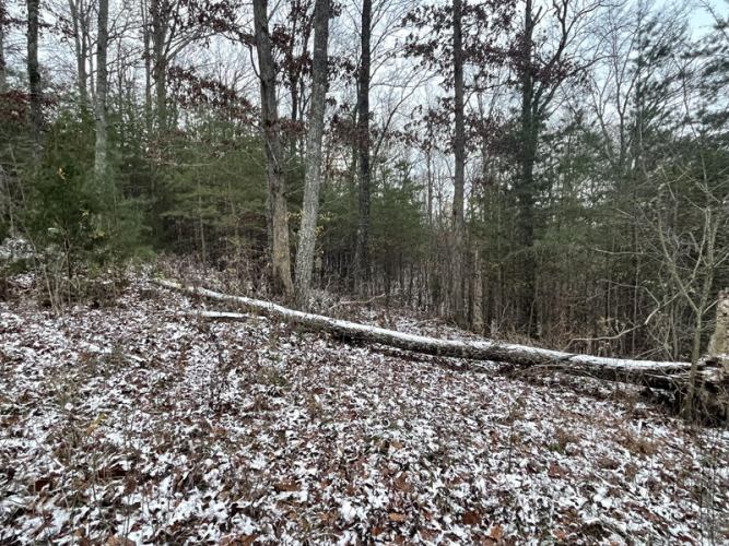 Listing Image 8