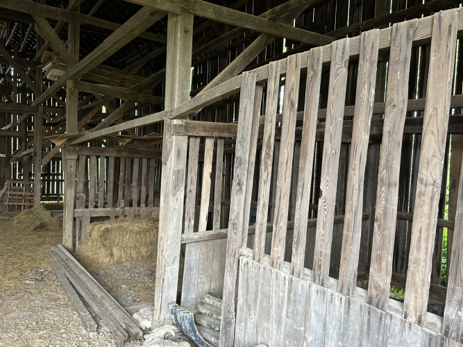 Listing Image 5