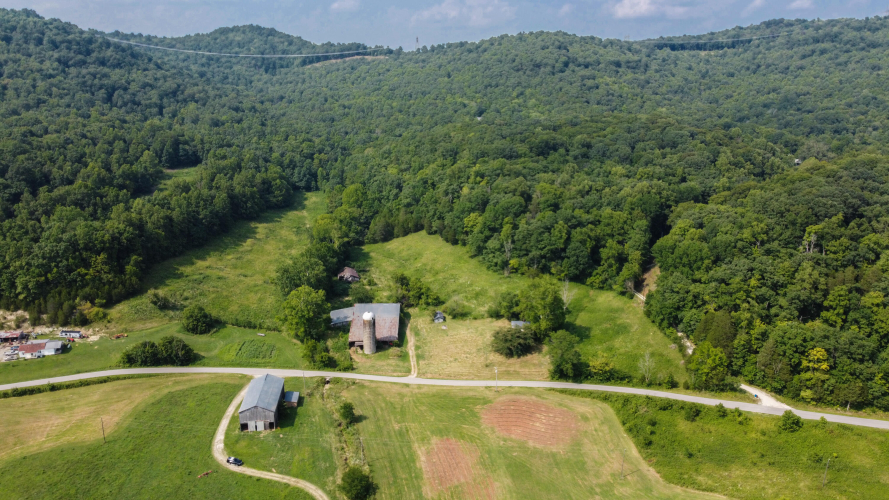 Listing Image 11