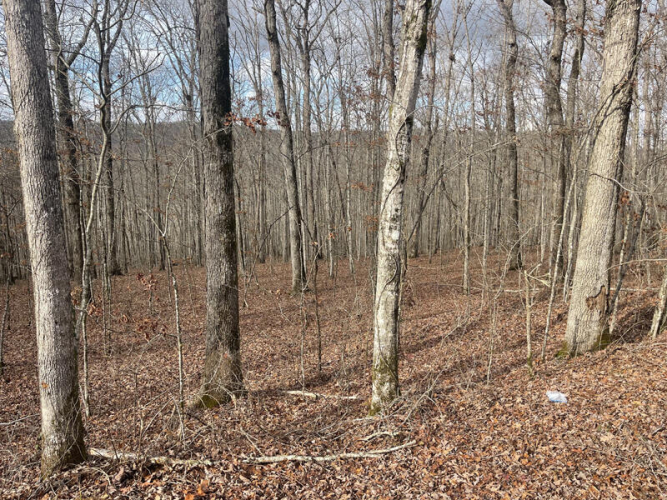 Listing Image 5