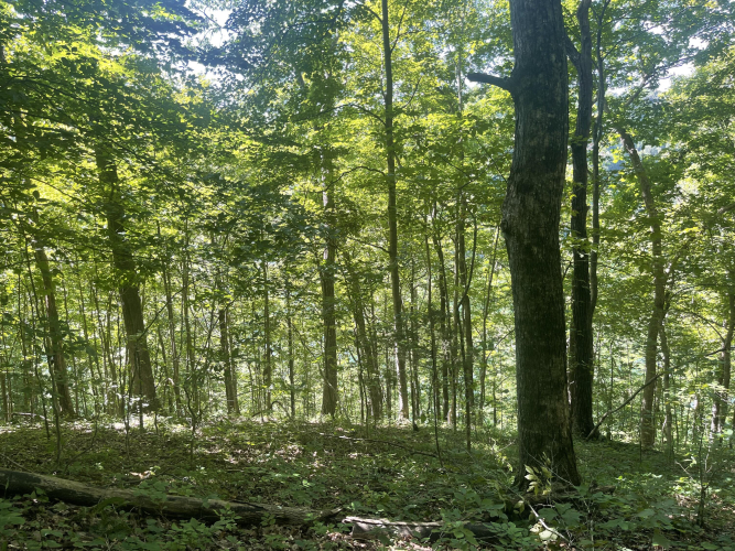 Listing Image 8