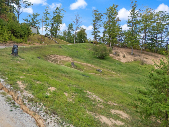 Listing Image 46