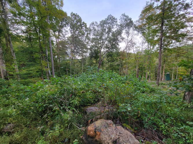 Listing Image 12