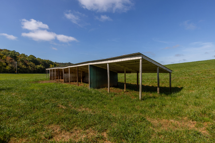 Listing Image 25
