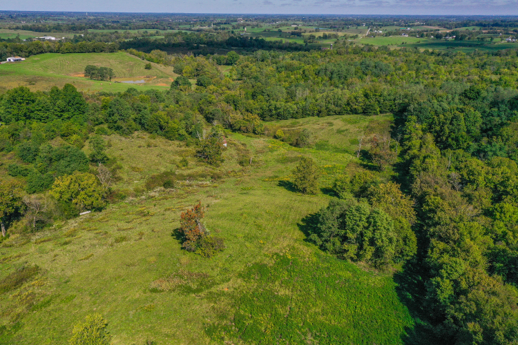 Listing Image 40
