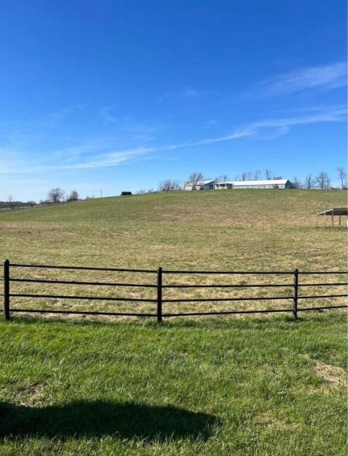 Listing Image 74