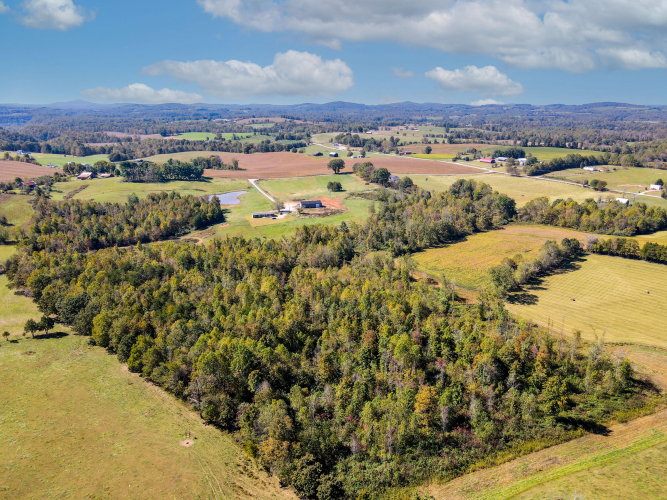 Listing Image 11
