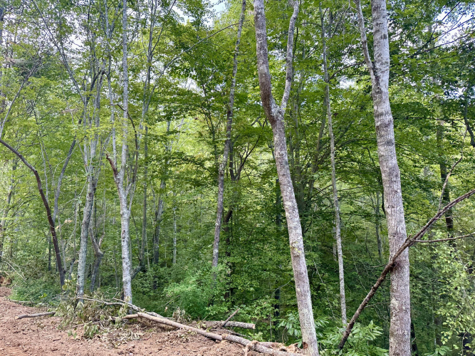 Listing Image 17