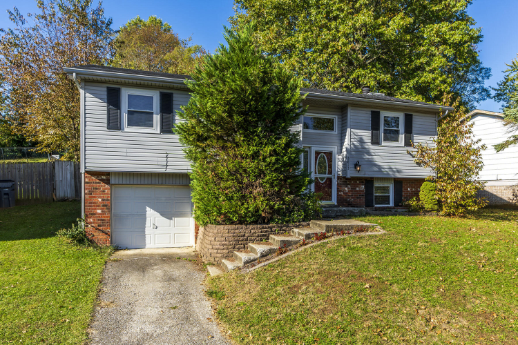 3613  Remora Drive Lexington, KY 40517 | MLS 24022257