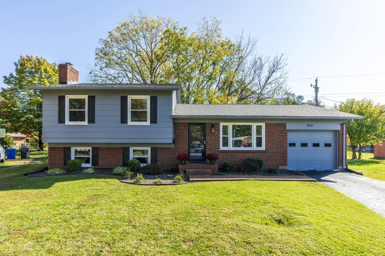 953  Pine Bloom Court Lexington, KY 40503 | MLS 24022406