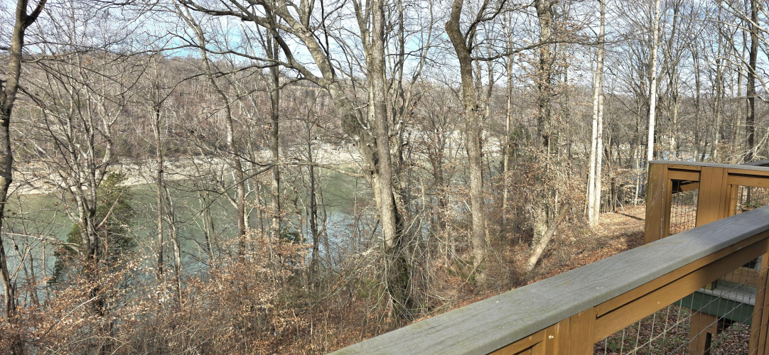 Listing Image 80