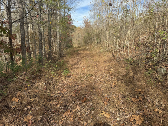 Listing Image 17