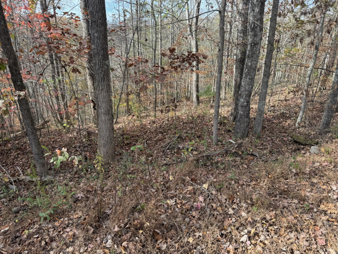 Listing Image 18